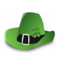 /album/st-patricks-day-/st-patricks-day-hat-jpg/
